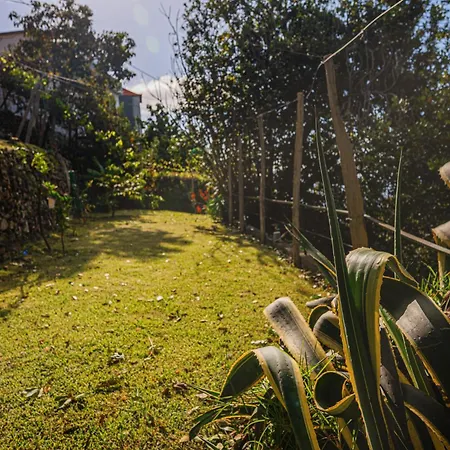 Madeira-meerblick-haus Nyaraló