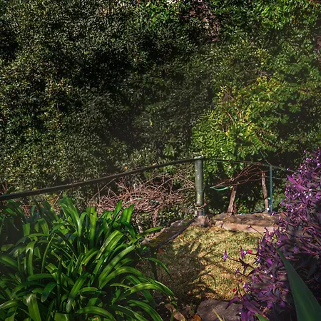 Madeira-meerblick-haus Nyaraló Estreito da Calheta