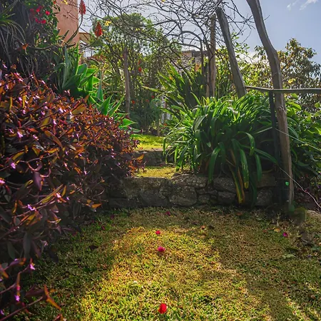 Madeira-meerblick-haus Estreito Da Calheta