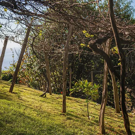 Madeira-meerblick-haus *