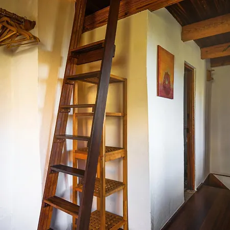 Madeira-meerblick-haus Dom wakacyjny *