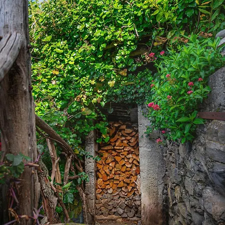 Holiday home Madeira-meerblick-haus *