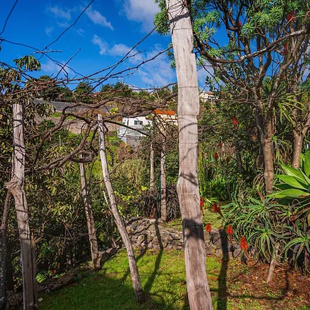 Madeira-meerblick-haus Ferienhaus Estreito Da Calheta