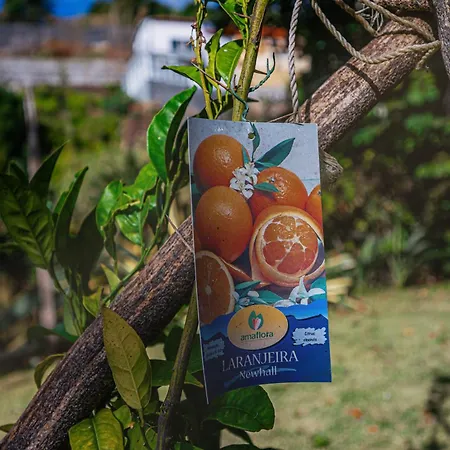 Dom wakacyjny Madeira-meerblick-haus *