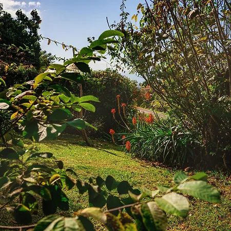 Madeira-meerblick-haus * Estreito Da Calheta