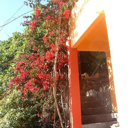 Madeira-meerblick-haus Vakantiehuis