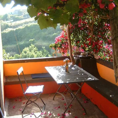 Madeira-meerblick-haus Holiday home *