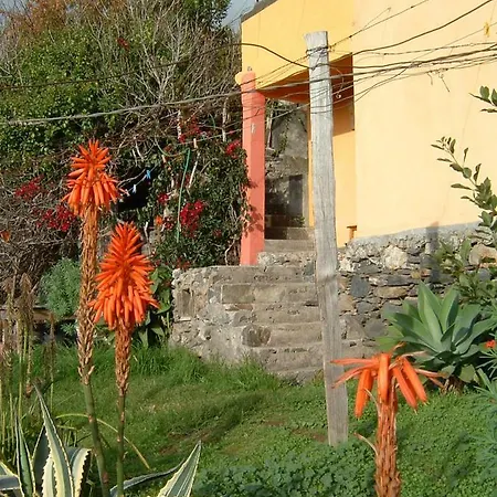 Madeira-meerblick-haus Estreito Da Calheta
