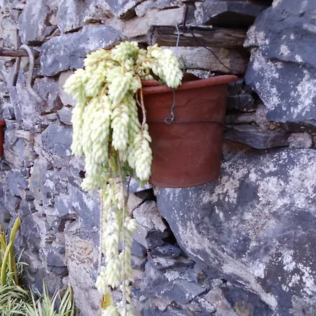Madeira-meerblick-haus