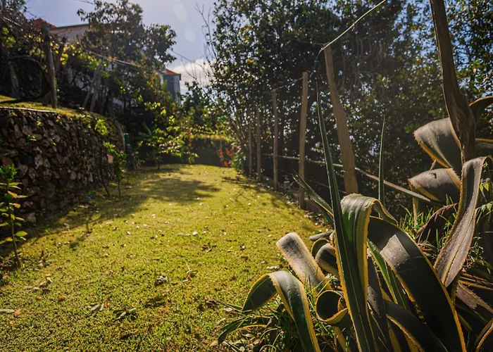 Madeira-meerblick-haus Дом отдыха
