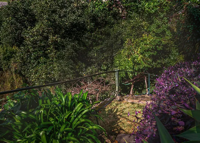 Madeira-meerblick-haus Дом отдыха Estreito Da Calheta