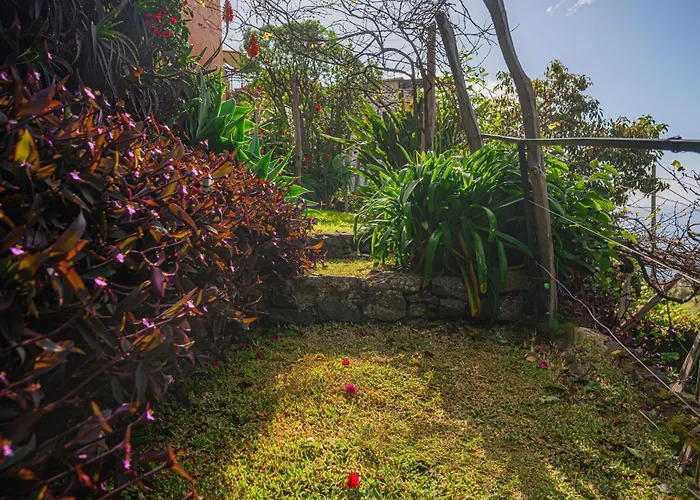Madeira-meerblick-haus Estreito Da Calheta