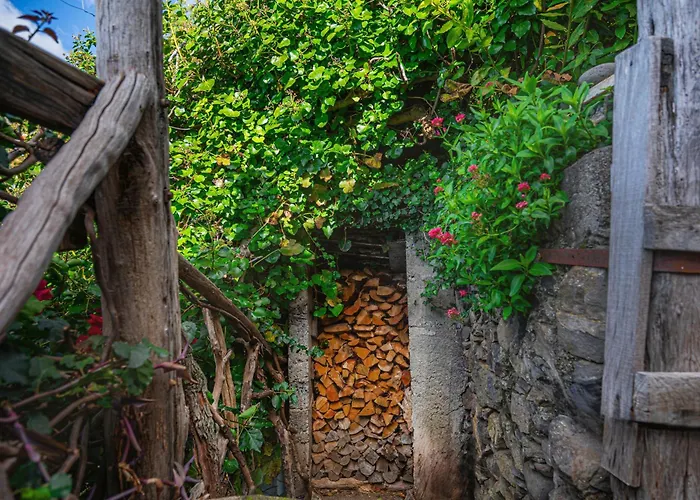 Дом отдыха Madeira-meerblick-haus *