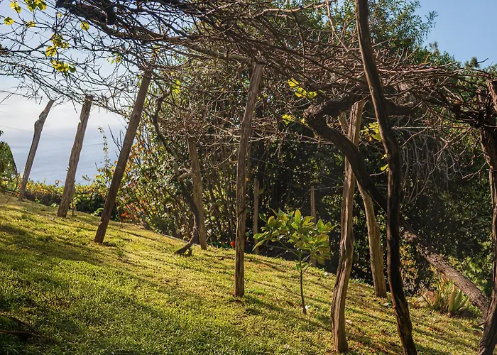 Madeira-meerblick-haus *