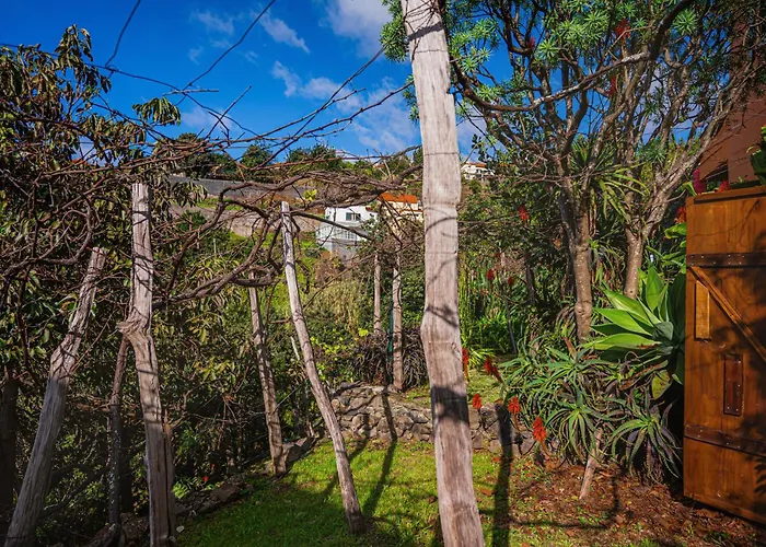 Madeira-meerblick-haus Дом отдыха Estreito Da Calheta