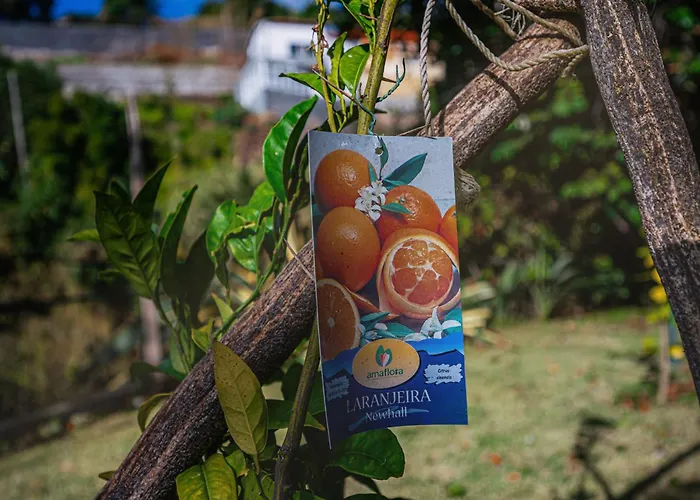 Дом отдыха Madeira-meerblick-haus *