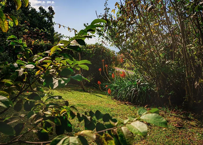 Madeira-meerblick-haus * Estreito Da Calheta